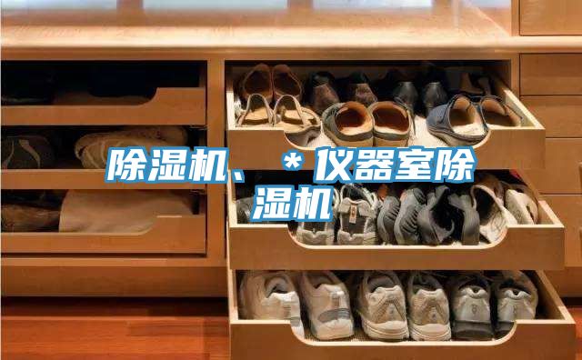 除濕機、＊儀器室除濕機
