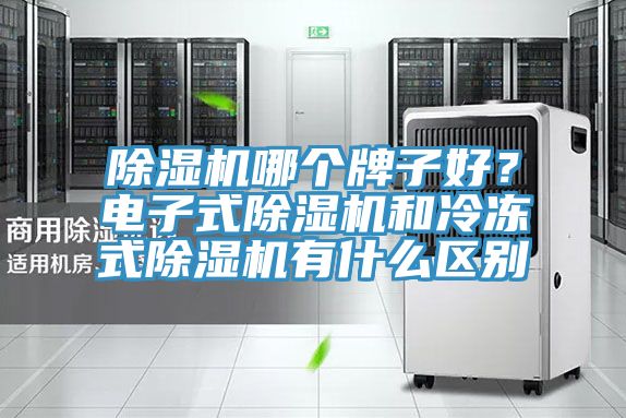 除濕機哪個(gè)牌子好？電子式除濕機和冷凍式除濕機有什么區別