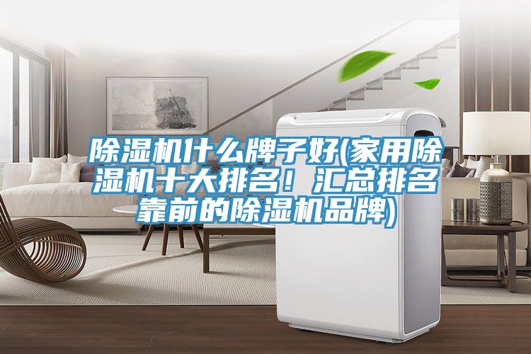 除濕機什么牌子好(家用除濕機十大排名！匯總排名靠前的除濕機品牌)