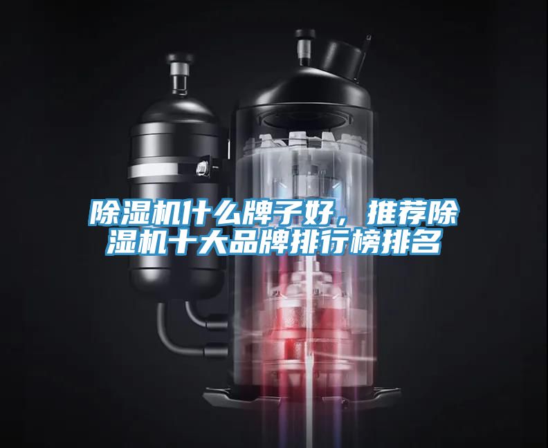 除濕機什么牌子好，推薦除濕機十大品牌排行榜排名