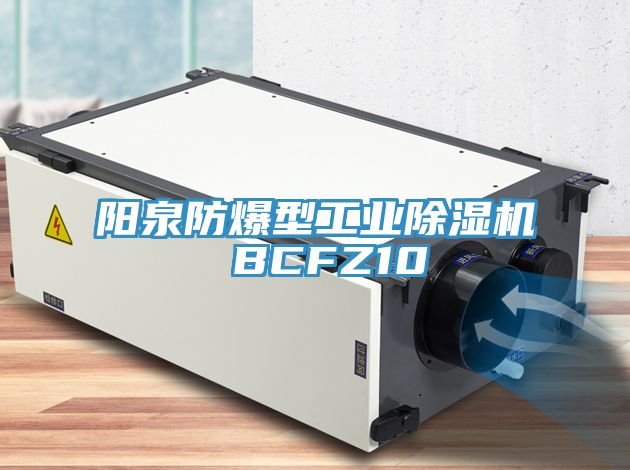 陽(yáng)泉防爆型工業(yè)除濕機 BCFZ10