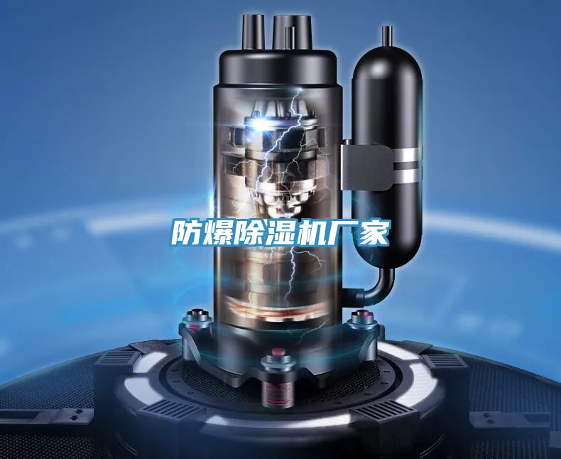 防爆除濕機廠(chǎng)家