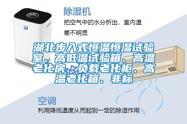 湖北步入式恒溫恒濕試驗室、高低溫試驗箱、高溫老化房、負載老化柜、高溫老化箱、非標