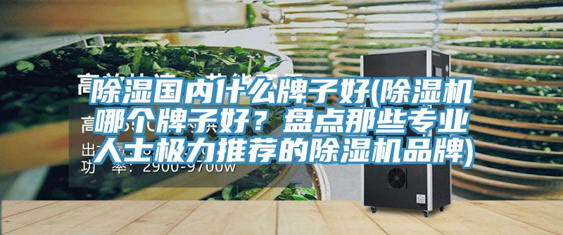 除濕國內什么牌子好(除濕機哪個(gè)牌子好？盤(pán)點(diǎn)那些專(zhuān)業(yè)人士極力推薦的除濕機品牌)