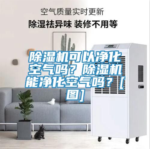 除濕機可以?xún)艋諝鈫?？除濕機能凈化空氣嗎？[圖]