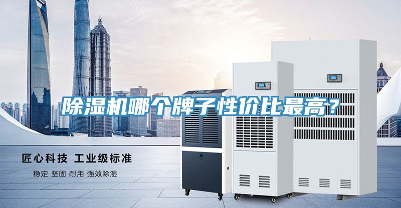 除濕機哪個(gè)牌子性?xún)r(jià)比最高？