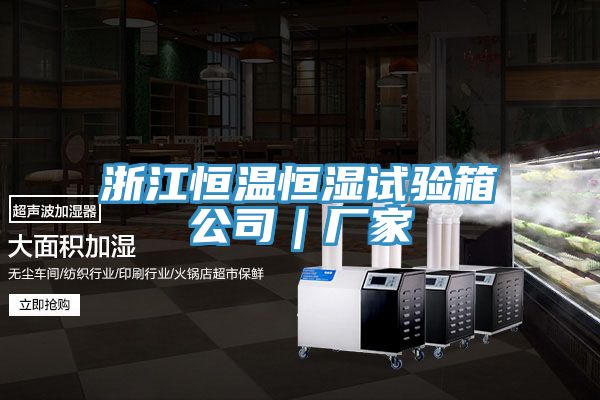 浙江恒溫恒濕試驗箱公司｜廠(chǎng)家