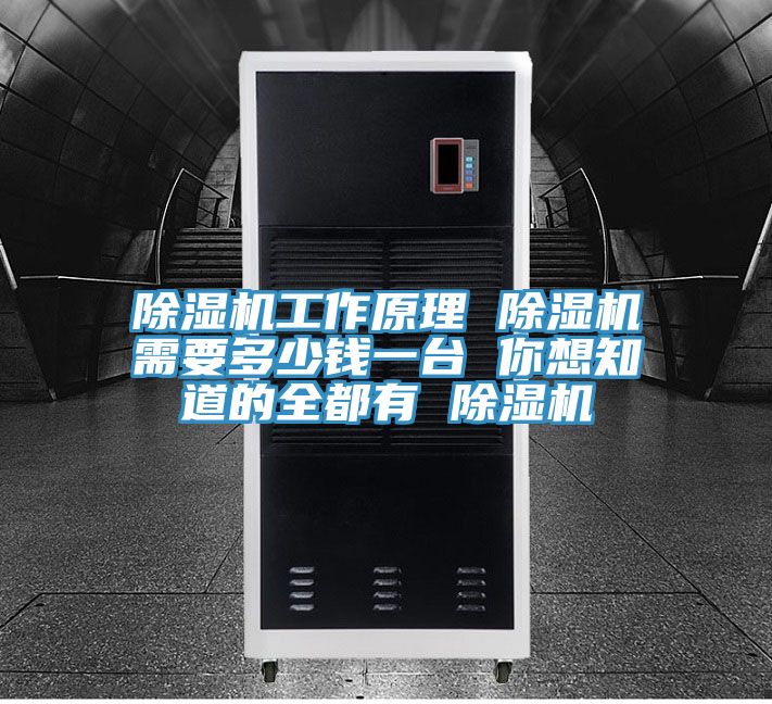 除濕機工作原理 除濕機需要多少錢(qián)一臺 你想知道的全都有 除濕機