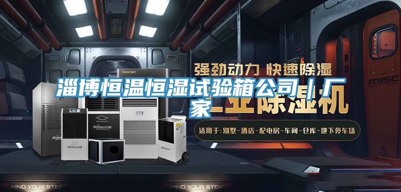 淄博恒溫恒濕試驗箱公司｜廠(chǎng)家