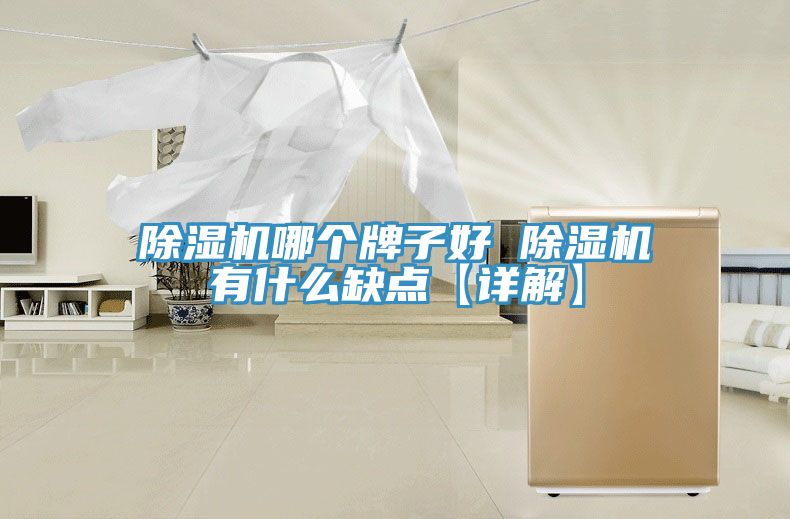 除濕機哪個(gè)牌子好 除濕機有什么缺點(diǎn)【詳解】