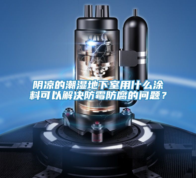 陰涼的潮濕地下室用什么涂料可以解決防霉防腐的問(wèn)題？