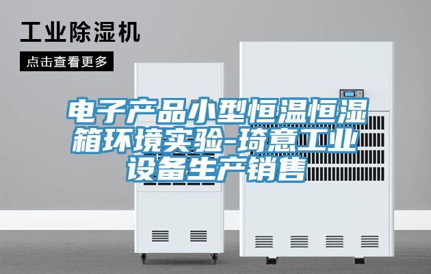 電子產(chǎn)品小型恒溫恒濕箱環(huán)境實(shí)驗-琦意工業(yè)設備生產(chǎn)銷(xiāo)售