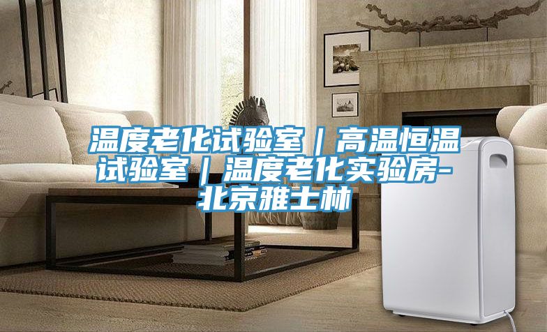 溫度老化試驗室｜高溫恒溫試驗室｜溫度老化實(shí)驗房-北京雅士林