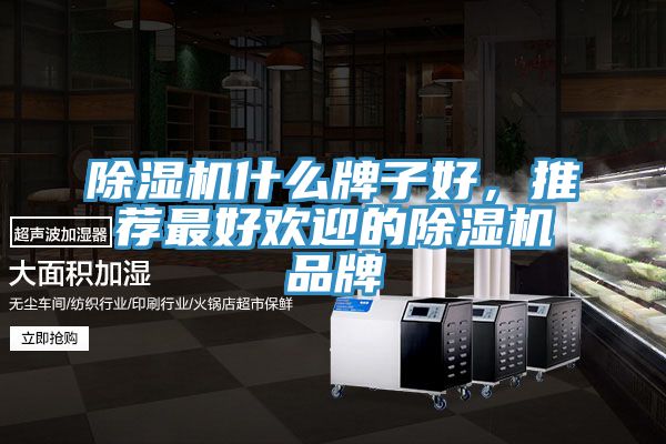 除濕機什么牌子好，推薦最好歡迎的除濕機品牌