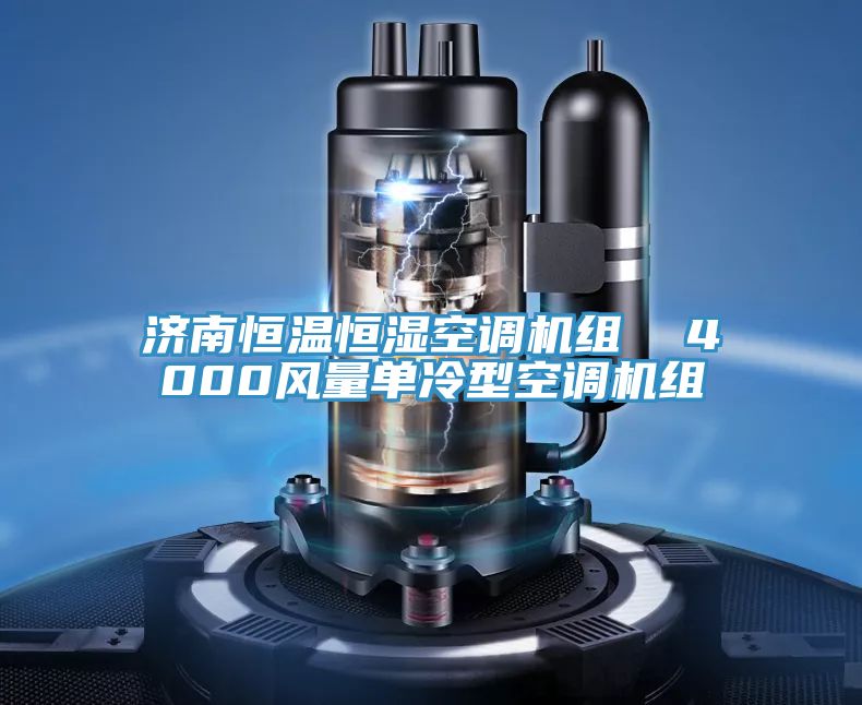 濟南恒溫恒濕空調機組  4000風(fēng)量單冷型空調機組
