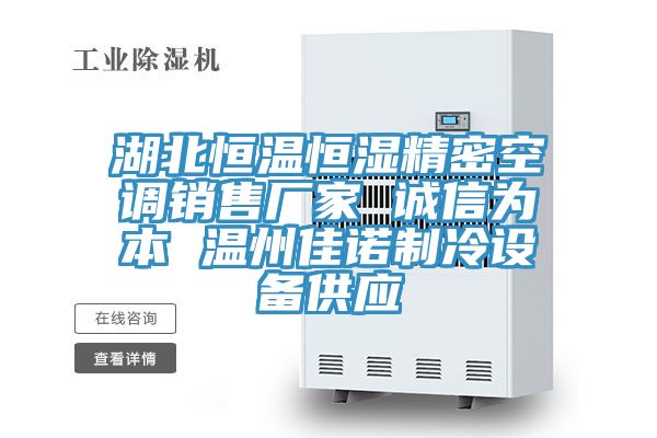 湖北恒溫恒濕精密空調銷(xiāo)售廠(chǎng)家 誠信為本 溫州佳諾制冷設備供應