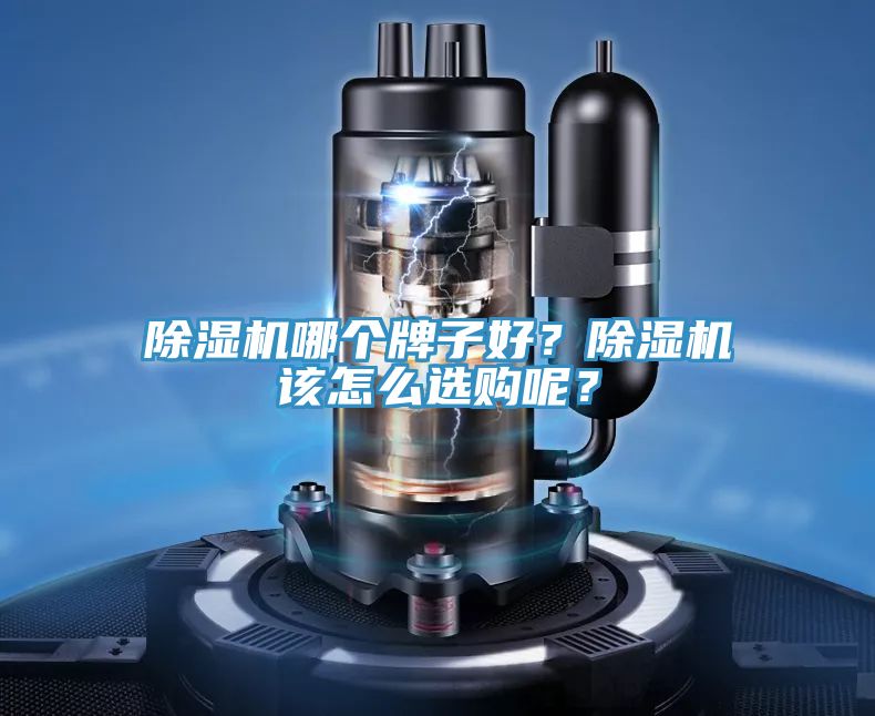 除濕機哪個(gè)牌子好？除濕機該怎么選購呢？