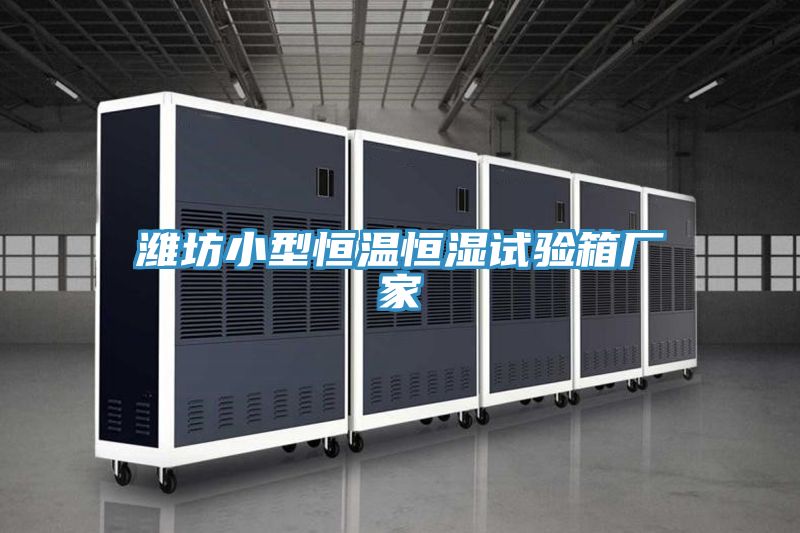 濰坊小型恒溫恒濕試驗箱廠(chǎng)家