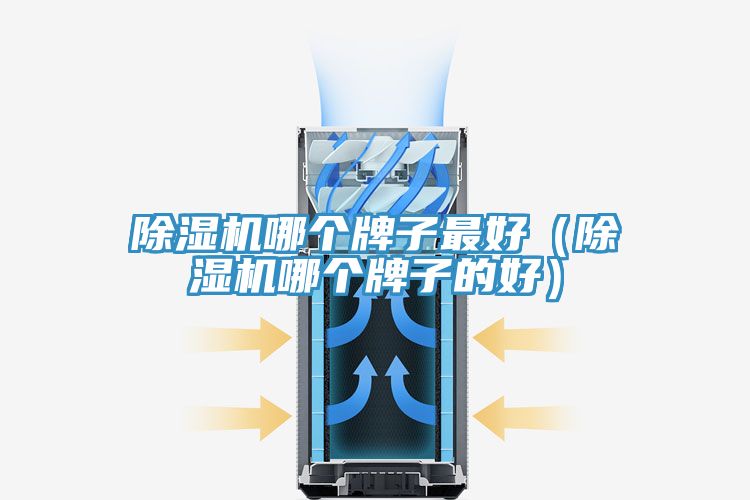 除濕機哪個(gè)牌子最好（除濕機哪個(gè)牌子的好）