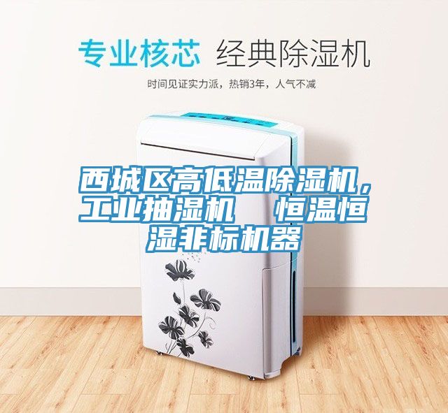 西城區高低溫除濕機，工業(yè)抽濕機  恒溫恒濕非標機器