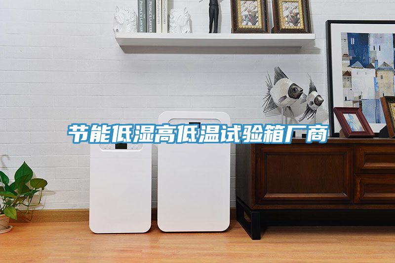 節能低濕高低溫試驗箱廠(chǎng)商