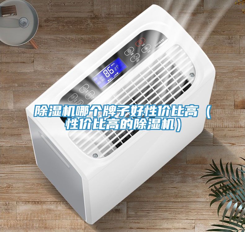 除濕機哪個(gè)牌子好性?xún)r(jià)比高（性?xún)r(jià)比高的除濕機）