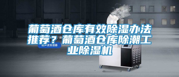 葡萄酒倉庫有效除濕辦法推薦？葡萄酒倉庫除潮工業(yè)除濕機