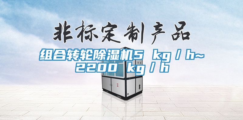 組合轉輪除濕機5 kg／h~2200 kg／h