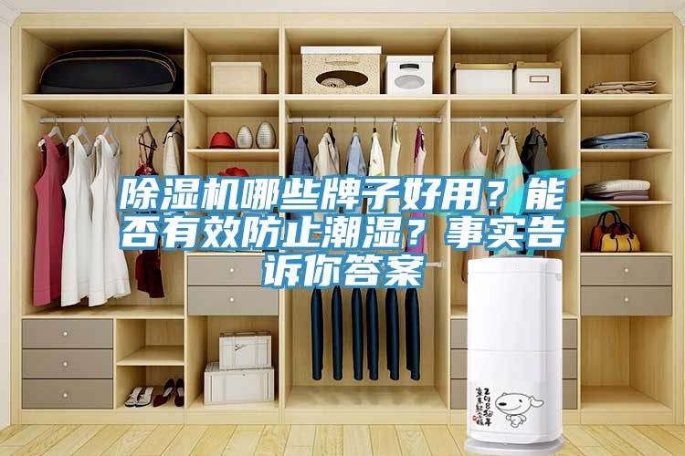 除濕機哪些牌子好用？能否有效防止潮濕？事實(shí)告訴你答案