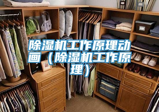 除濕機工作原理動(dòng)畫(huà)（除濕機工作原理）