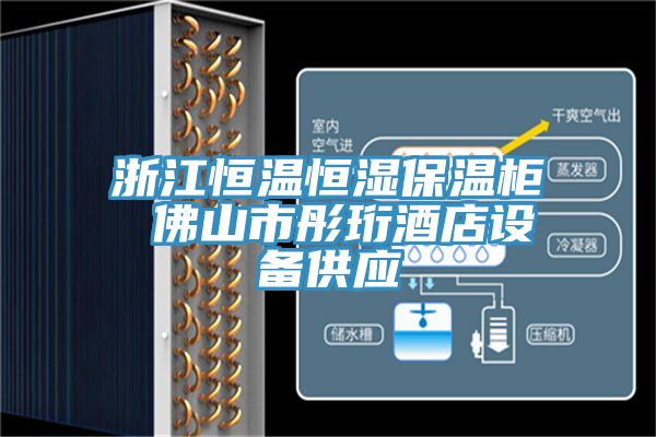 浙江恒溫恒濕保溫柜 佛山市彤珩酒店設備供應