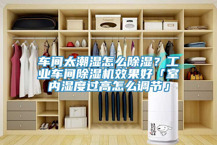 車(chē)間太潮濕怎么除濕？工業(yè)車(chē)間除濕機效果好「室內濕度過(guò)高怎么調節」