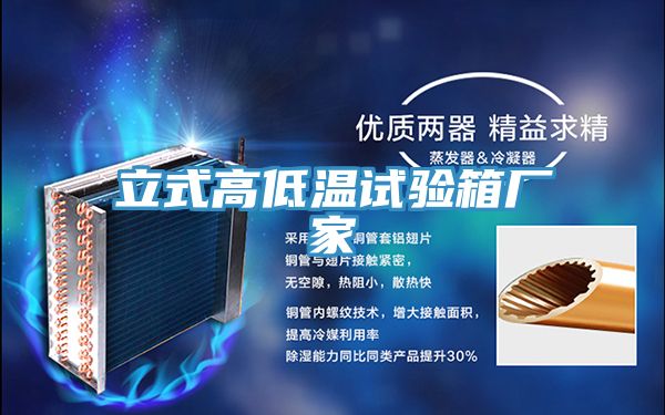 立式高低溫試驗箱廠(chǎng)家