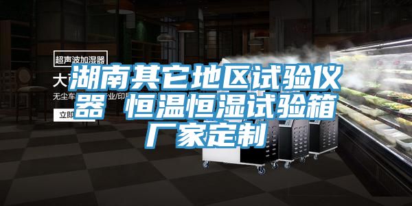 湖南其它地區試驗儀器 恒溫恒濕試驗箱廠(chǎng)家定制
