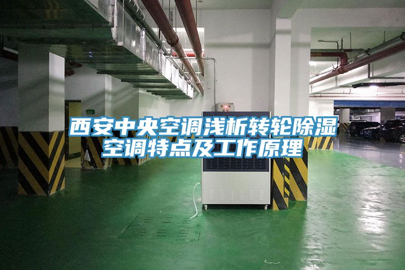 西安中央空調淺析轉輪除濕空調特點(diǎn)及工作原理