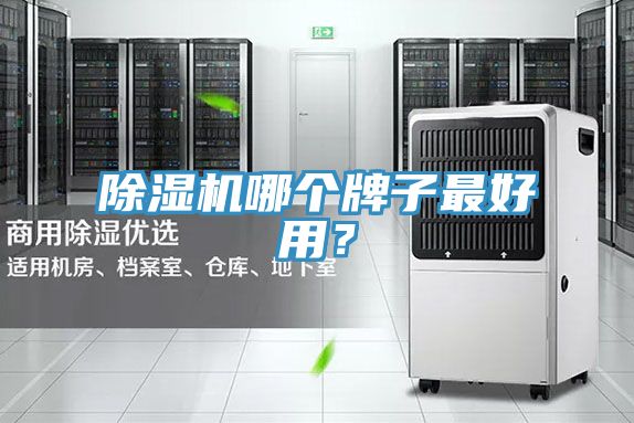 除濕機哪個(gè)牌子最好用？
