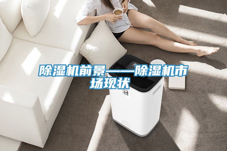 除濕機前景——除濕機市場(chǎng)現狀‍‍