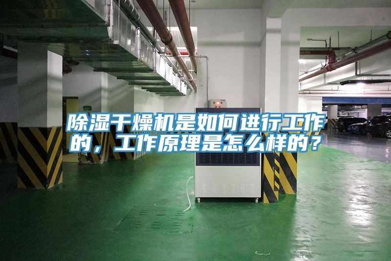 除濕干燥機是如何進(jìn)行工作的，工作原理是怎么樣的？