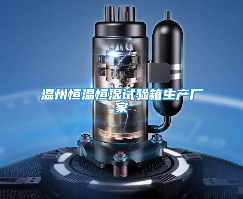 溫州恒溫恒濕試驗箱生產(chǎn)廠(chǎng)家