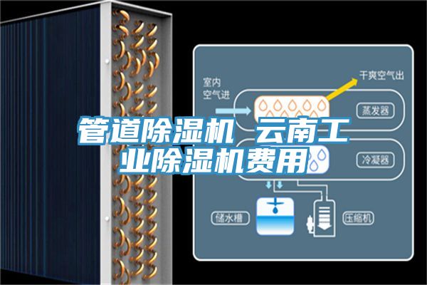 管道除濕機 云南工業(yè)除濕機費用