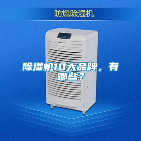 除濕機10大品牌，有哪些？