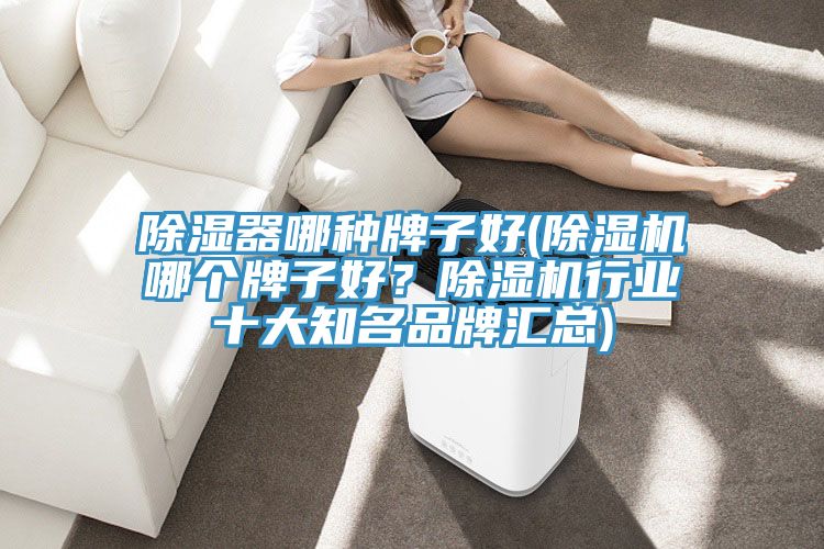 除濕器哪種牌子好(除濕機哪個(gè)牌子好？除濕機行業(yè)十大知名品牌匯總)