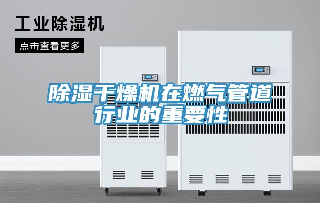 除濕干燥機在燃氣管道行業(yè)的重要性