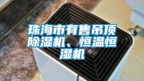 珠海市有售吊頂除濕機、恒溫恒濕機