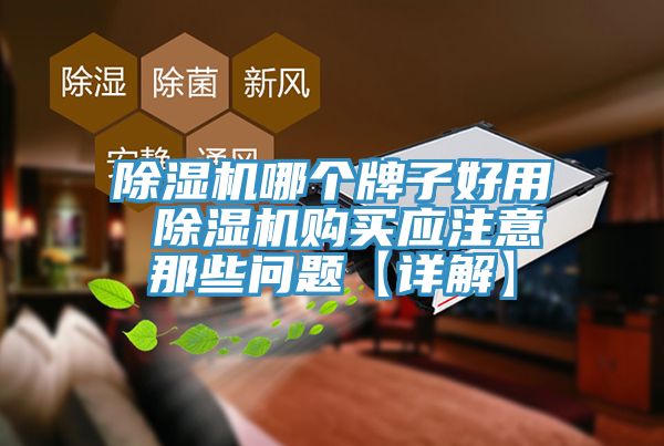 除濕機哪個(gè)牌子好用 除濕機購買(mǎi)應注意那些問(wèn)題【詳解】