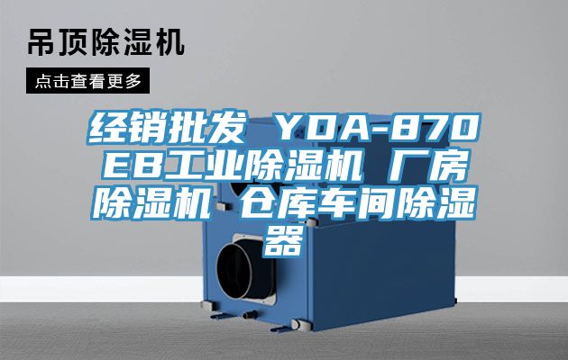 經(jīng)銷(xiāo)批發(fā) YDA-870EB工業(yè)除濕機 廠(chǎng)房除濕機 倉庫車(chē)間除濕器
