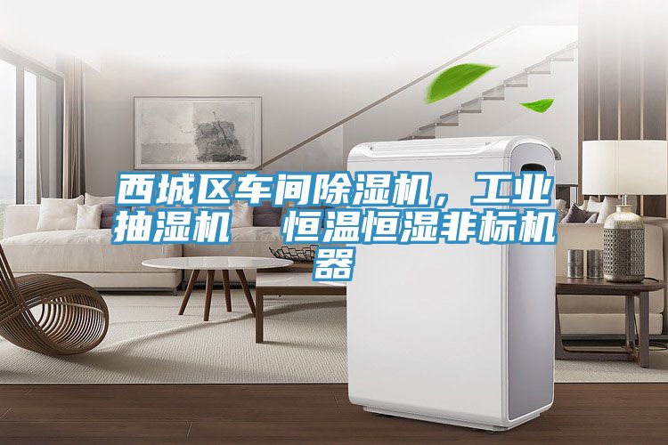西城區車(chē)間除濕機，工業(yè)抽濕機  恒溫恒濕非標機器