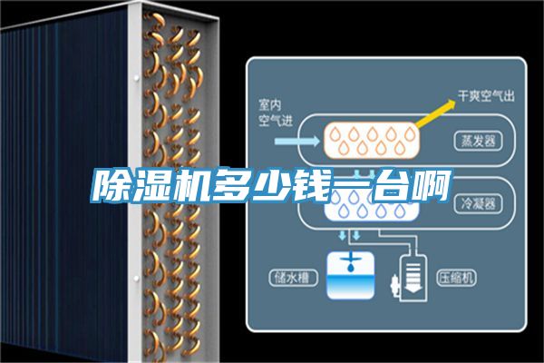 除濕機多少錢(qián)一臺啊