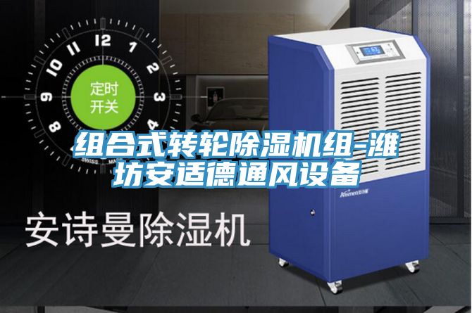 組合式轉輪除濕機組-濰坊安適德通風(fēng)設備
