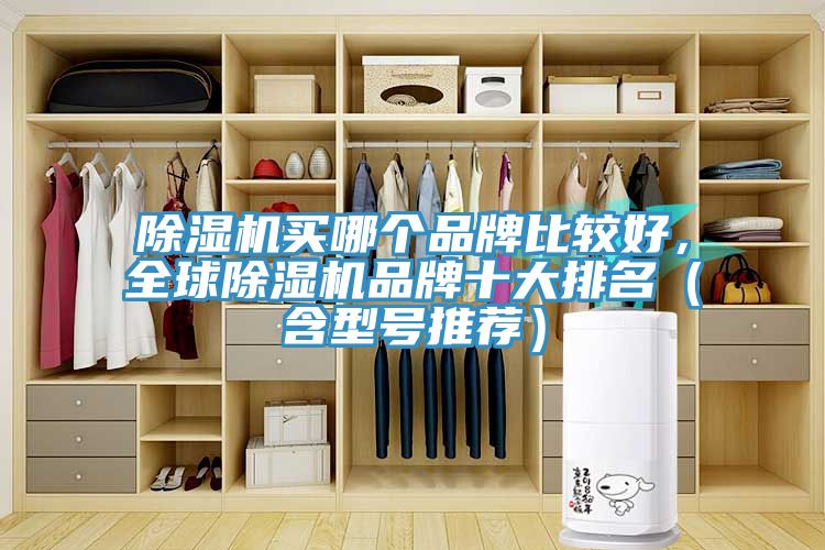 除濕機買(mǎi)哪個(gè)品牌比較好，全球除濕機品牌十大排名（含型號推薦）